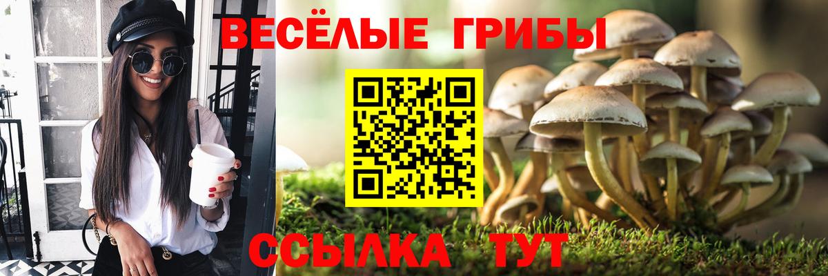 Псилоцибиновые грибы GOLDEN TEACHER  Вход с VPN  Качканар 